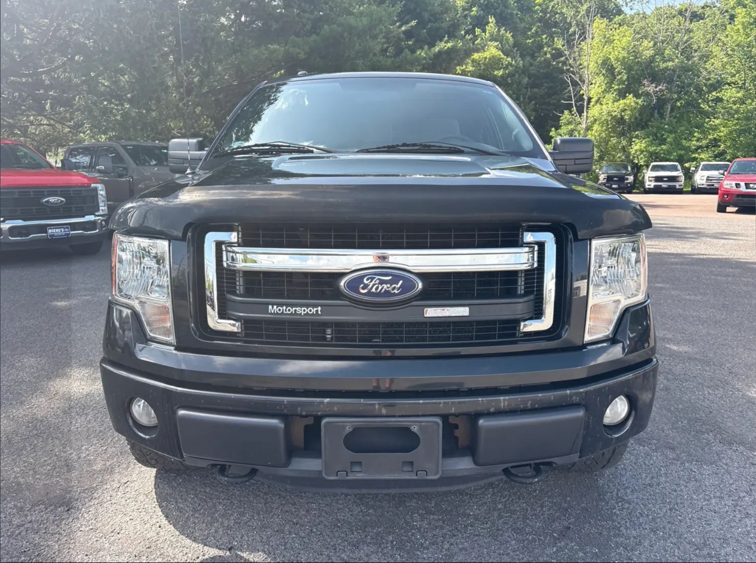 2013 FORD F-150